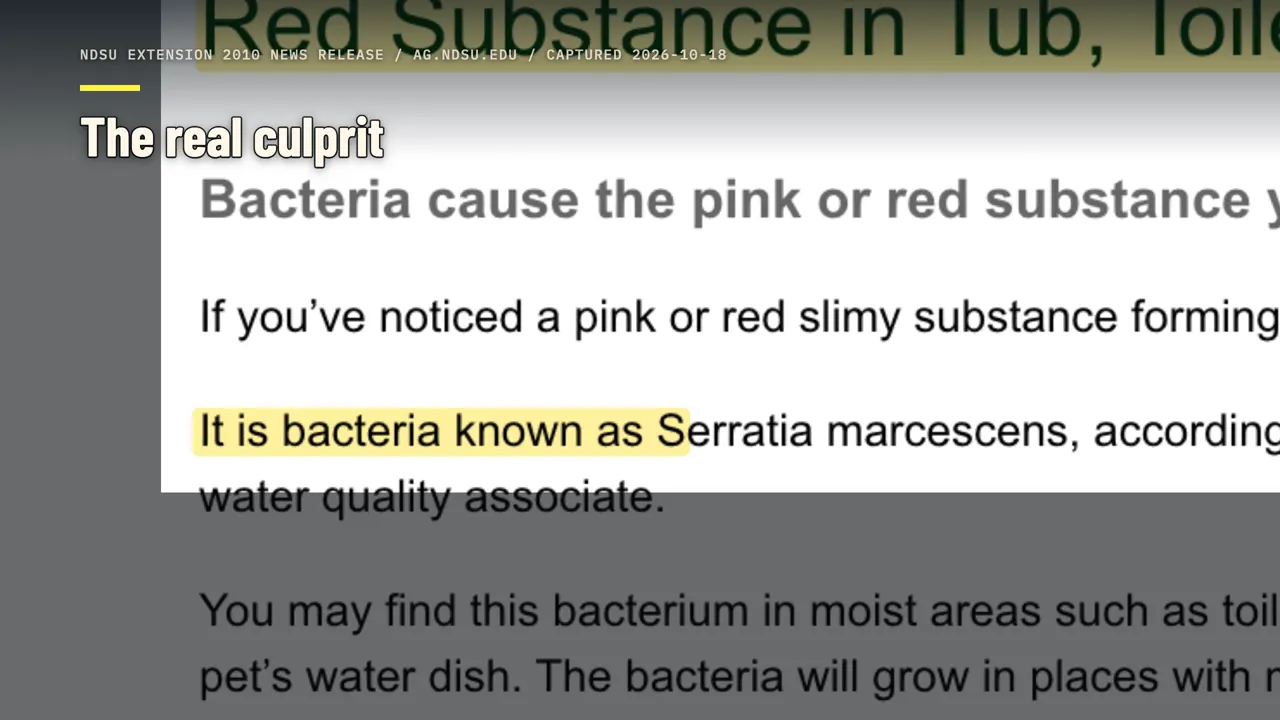 La vera causa della patina rosa
