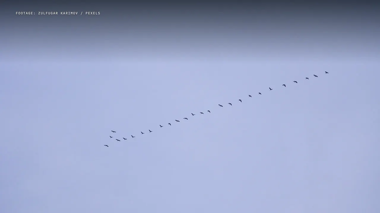 指南针不是地图