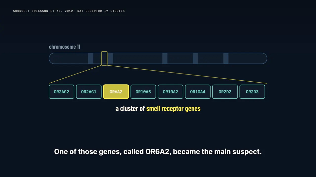 The gene hunt