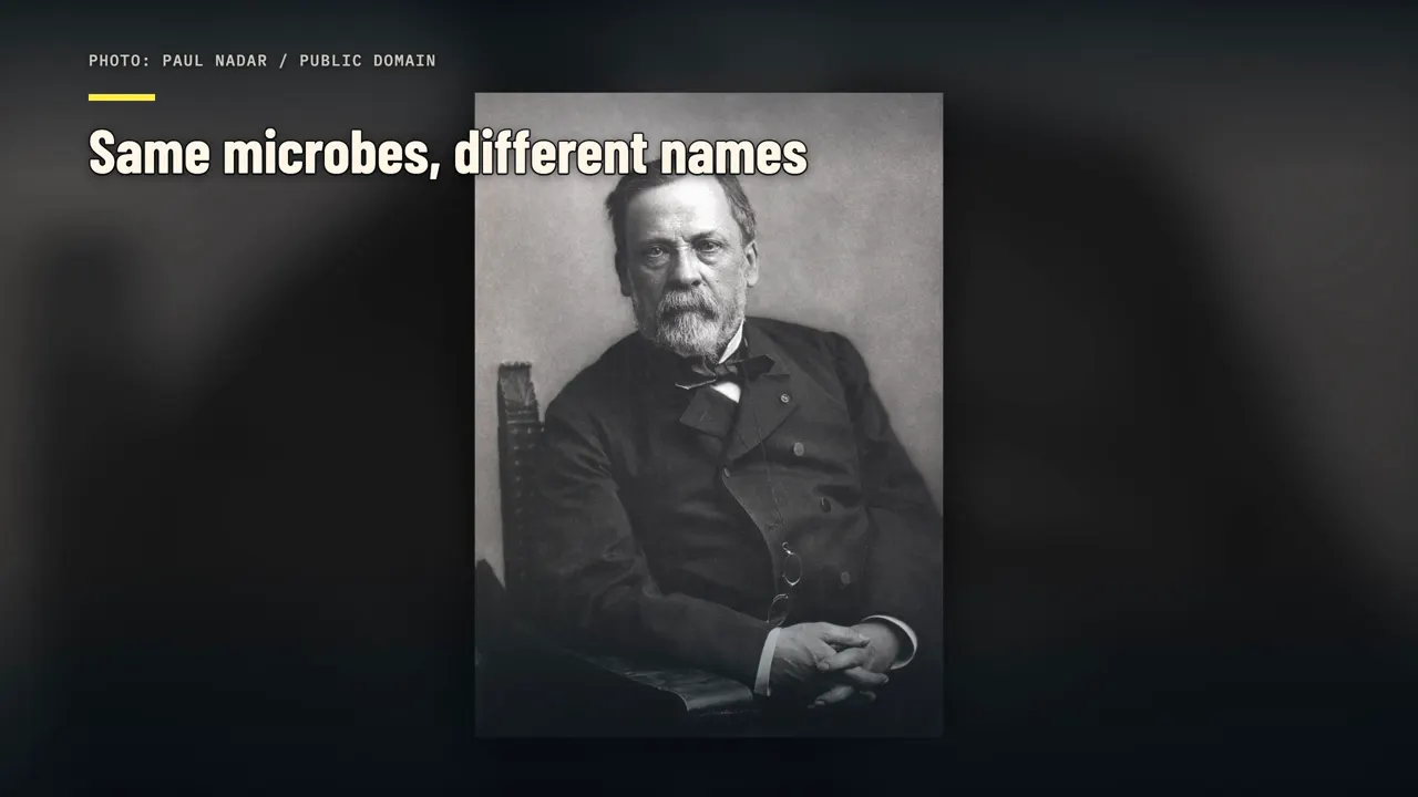 Gleiche Mikroben, andere Namen