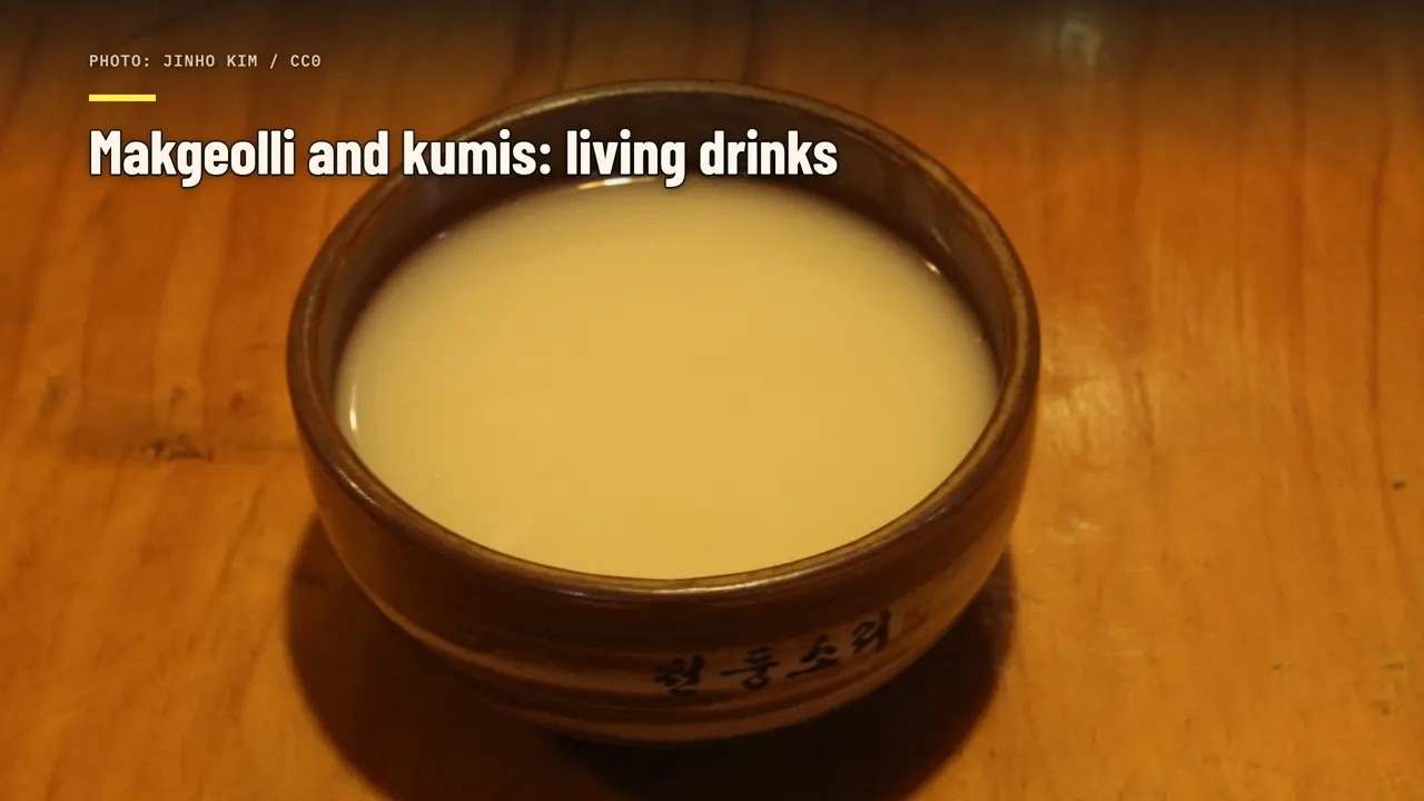 Makgeolli und Kumys: lebendige Getränke