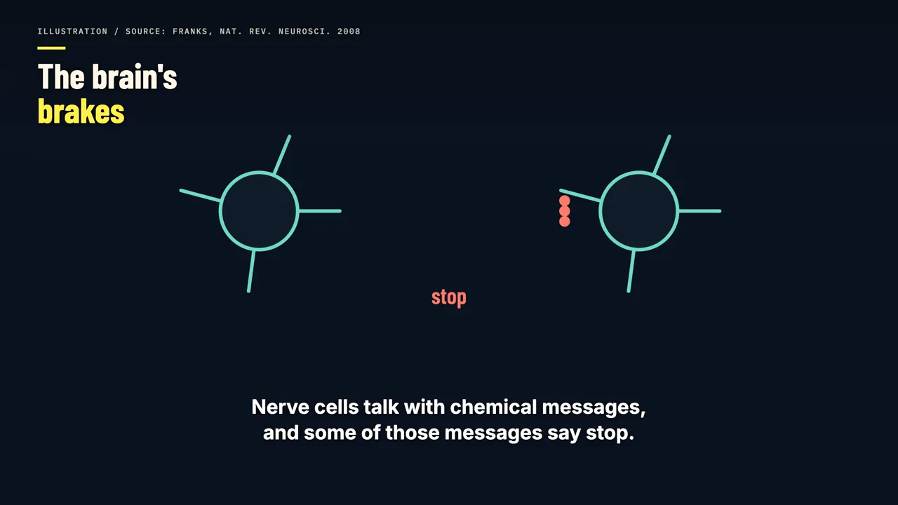 The brain's brakes