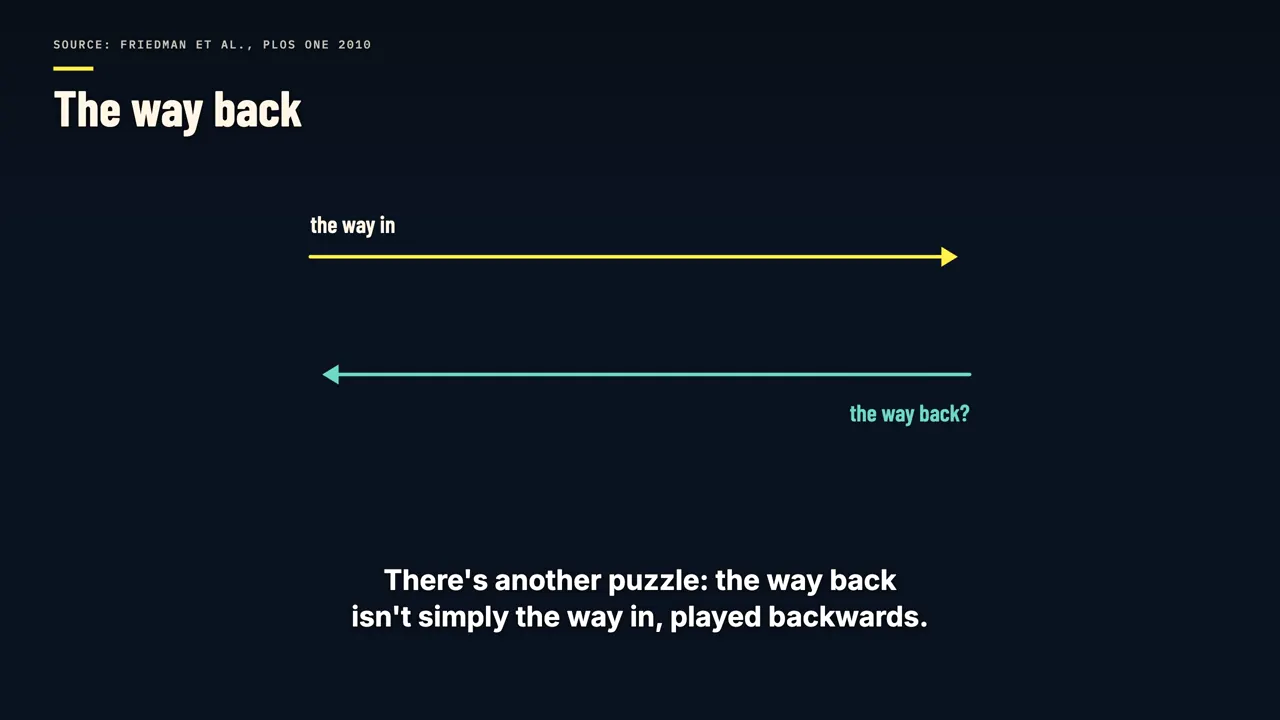 The way back