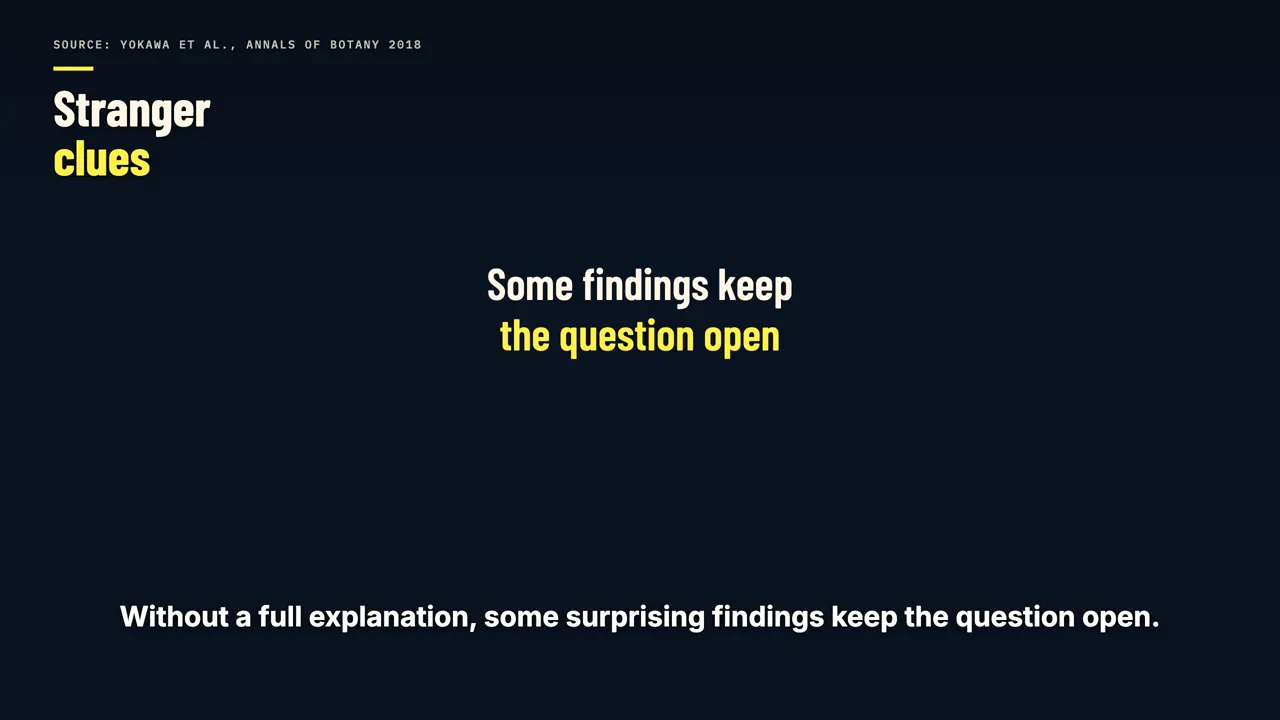 Stranger clues