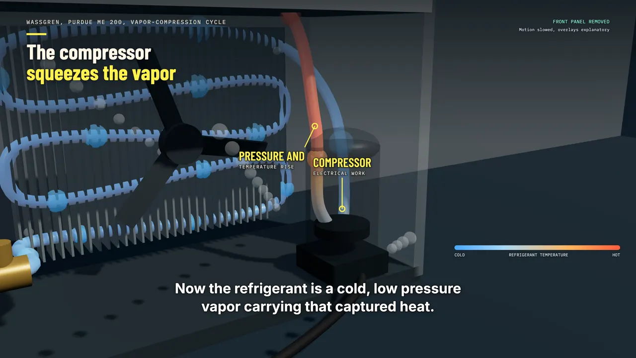 The compressor