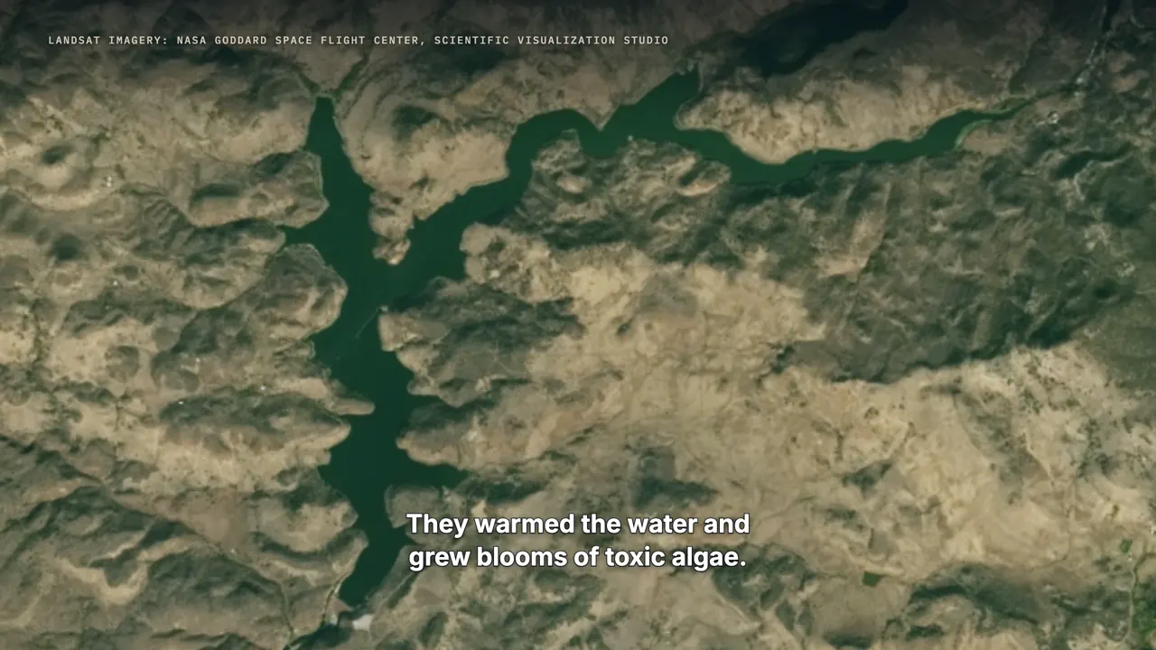 What the reservoirs did
