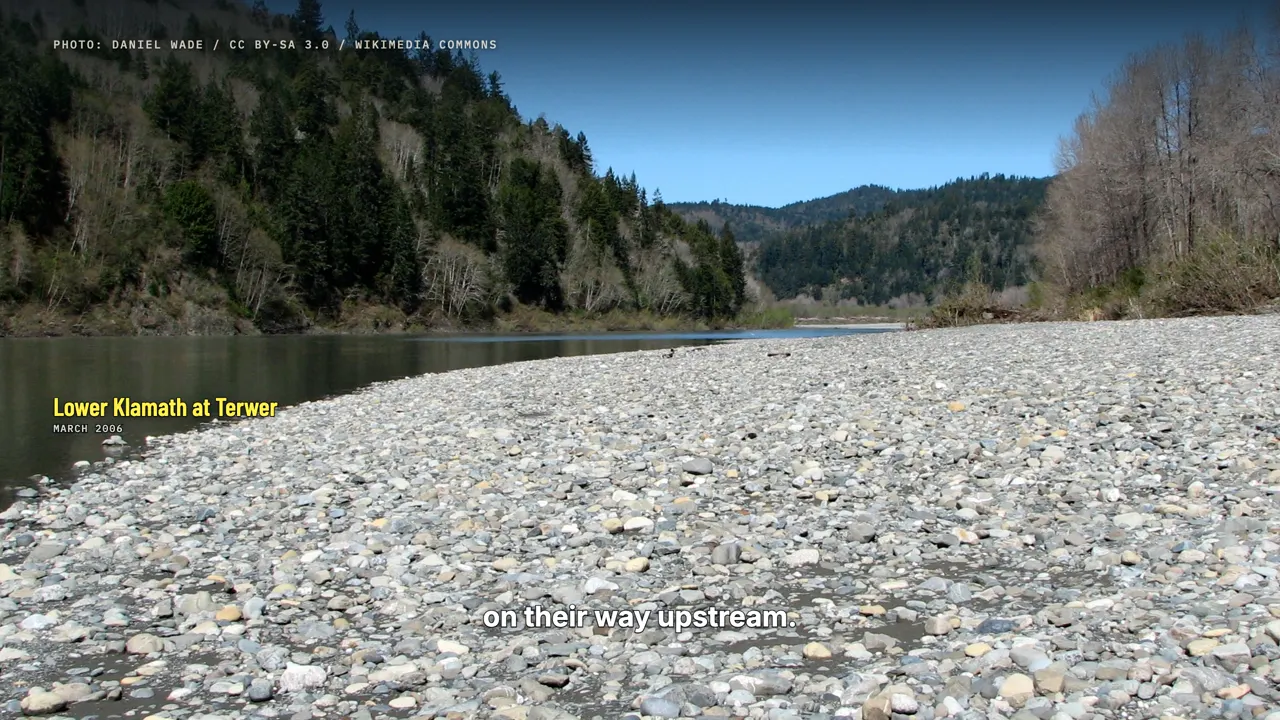 What the reservoirs did