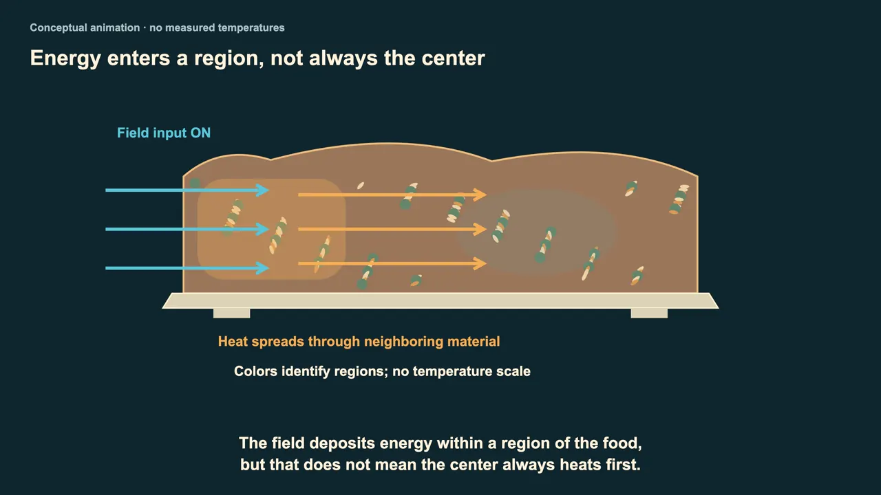 Where the heat goes inside food
