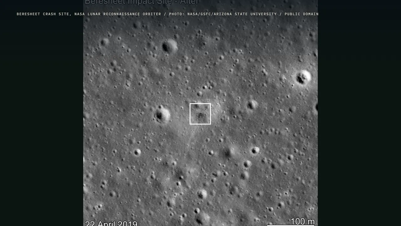 Tardigrades on the Moon